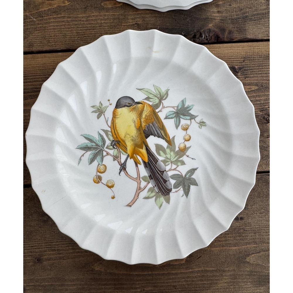 Copeland Spode Maynard's Cuckoo England 9" Bird Collector Plate Vintage 1960-70s